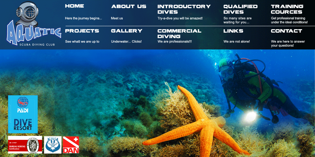 Diver looking closely at a starfish