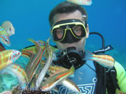 Diver serounded  with fish